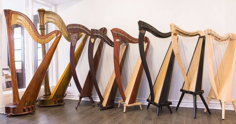 Harpes de location